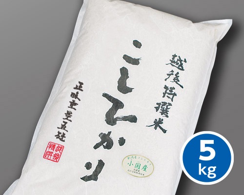 ���� �̾��񻺡� �����ҥ��� 5kg��ê���ơ����£�ǯ�ٻ�