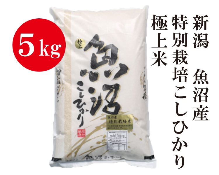 ���㡦���»� ���̺��� �����ҥ���ڶ˾��ơ� 5kg�����£�ǯ�ٻ�