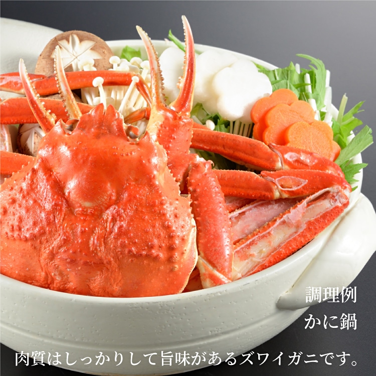 おかみ様　冷凍ボイル　本ズワイガニ/6尾×2(総重量6.0kg) おかみ様 冷凍ボイル 本ズワイガニ/6尾×2(総重量6.0kg) 楽天市場】