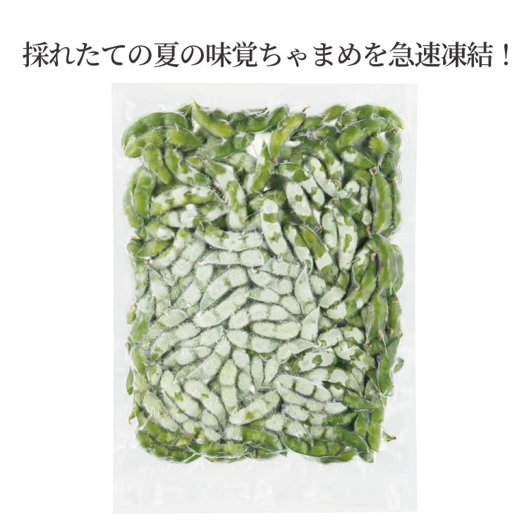 ӹƦ500˺Τ줿ƤβƤ̣Фޤ®롪ࡿײǮ