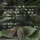 �դ뤵��̾���ڿ��㻰̣�ۥ��åȡ� ������ �������� �������� �� 