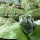 �դ뤵��̾���ڿ��㻰̣�ۥ��åȡ� ������ �������� �������� �� 