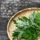 �դ뤵��̾���ڿ��㻰̣�ۥ��åȡ� ������ �������� �������� �� 