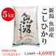 ����ָ����ò��� ���� �ڵ��»��� �����ҥ��� 5kg�����£�ǯ�ٻ��ʡ�7/31ȯ��ʬ�ޤǡ�