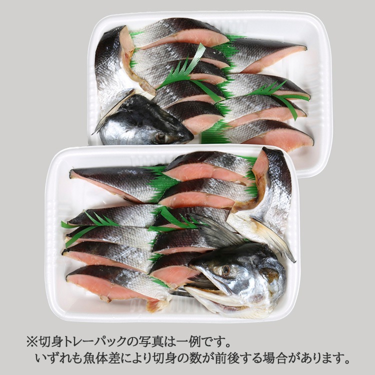 ̳ƻܳŹߡر 2.2kg̡ ڿȡȥ졼ۡե/Τб
