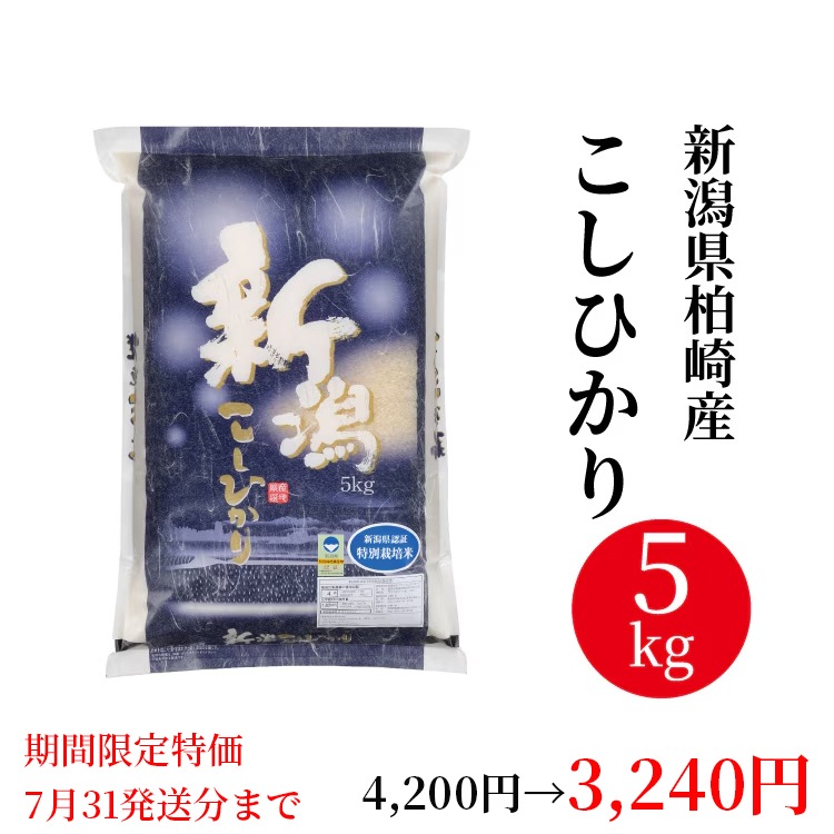 ����ָ����ò��� ���� ����껺�� �����ҥ��� 5kg�����£�ǯ�ٻ��ʡ�7/31ȯ��ʬ�ޤǡ�