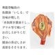 �ұ�ǽ�����礤���������ֵ��������������ʣ����