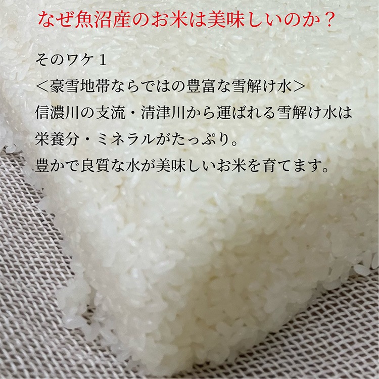 ���²����ߡ����ߡס�450g��6�ڡ�3�����ˡ��ϤĤ� ��Τ���ˡ ���ե� �Τ��б���