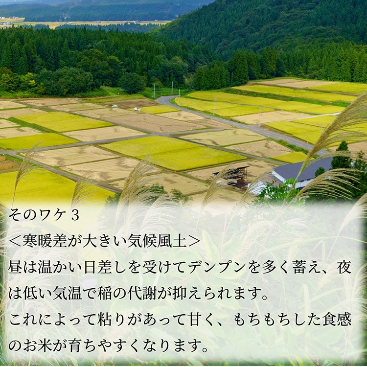 ���²����ߡ����ߡס�450g��6�ڡ�3�����ˡ��ϤĤ� ��Τ���ˡ ���ե� �Τ��б���