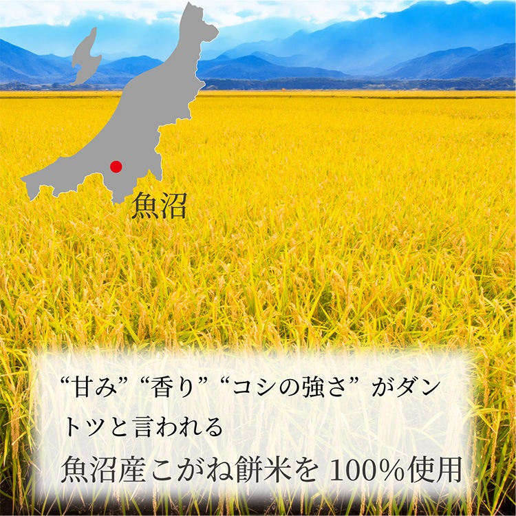 �������ߵ͹礻�����ߡ����ߡ�Ʀ�ߡ� ��450g��6�����߳�1�ޡ� �ϤĤ� ��Τ���ˡ ���եȡ��Τ��б���