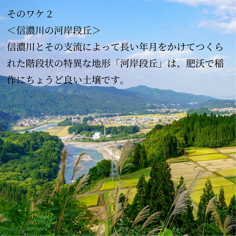 �������ߵ͹礻�����ߡ����ߡ�Ʀ�ߡ� ��450g��6�����߳�1�ޡ� �ϤĤ� ��Τ���ˡ ���եȡ��Τ��б���