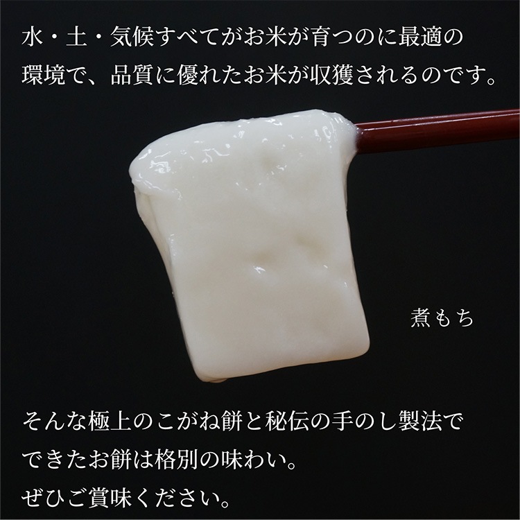 �������ߵ͹礻�����ߡ����ߡ�Ʀ�ߡ� ��450g��6�����߳�1�ޡ� �ϤĤ� ��Τ���ˡ ���եȡ��Τ��б���