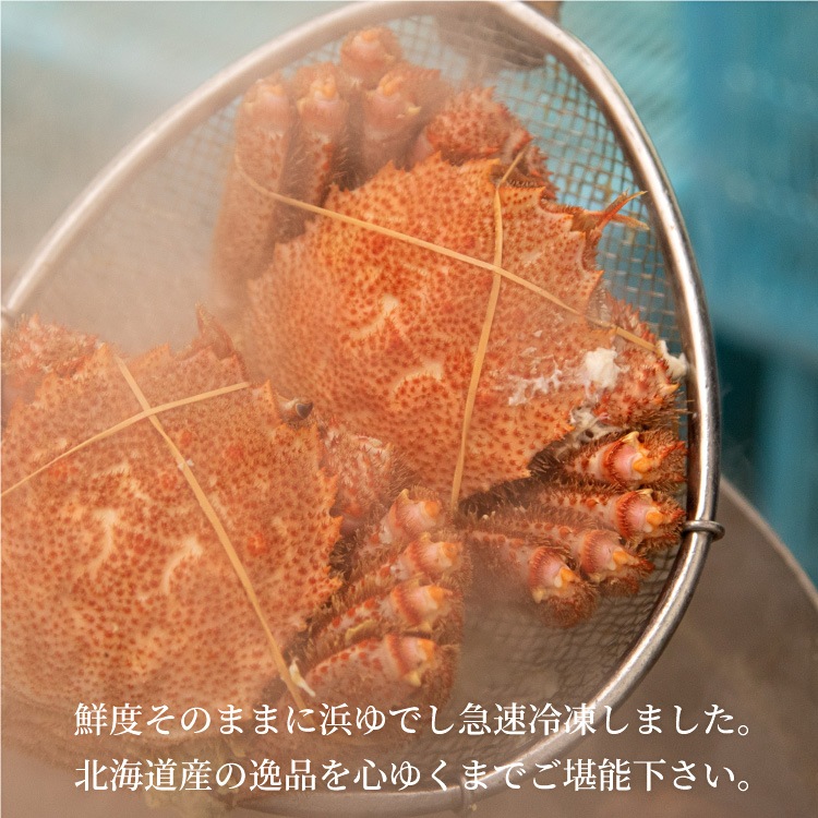 ڿ̸̳ƻͤӥ1500g̡ˢܥ