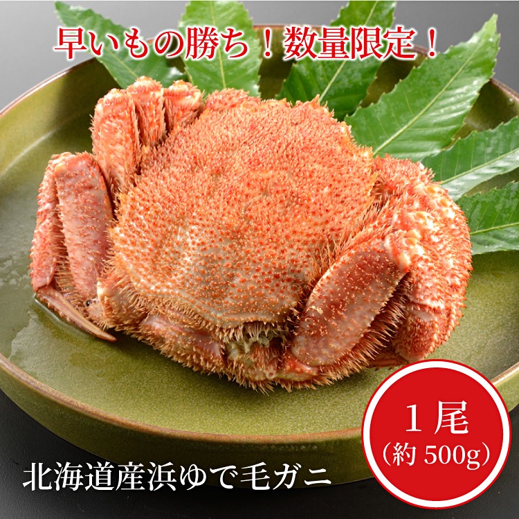 ڿ̸̳ƻͤӥ1500g̡ˢܥ