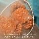 ڿ̸̳ƻͤӥ1500g̡ˢܥ