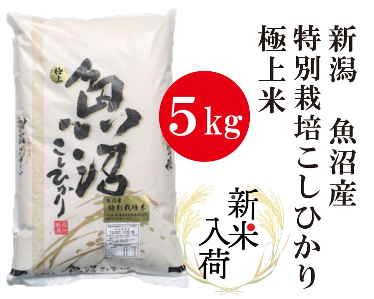 収穫祭開催中!☆極上☆【R6年産新米】佐渡産コシヒカリ ー特別 収穫祭開催中!☆極上☆【R6年産新米】佐渡産コシヒカリ ー特別
