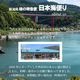 �ұ�ǽ�����礤�������Ӽʤۤä��������������ʣ����