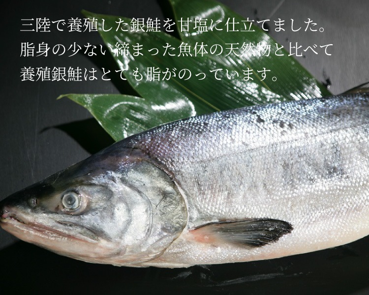 ���⻺����ڿȢ�ű���ʣ��ڡ��ܿ�