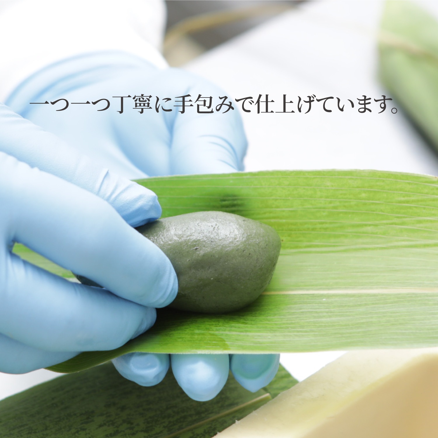 ۸ˤ̣襤åȡʺ󤴡ϼѡ