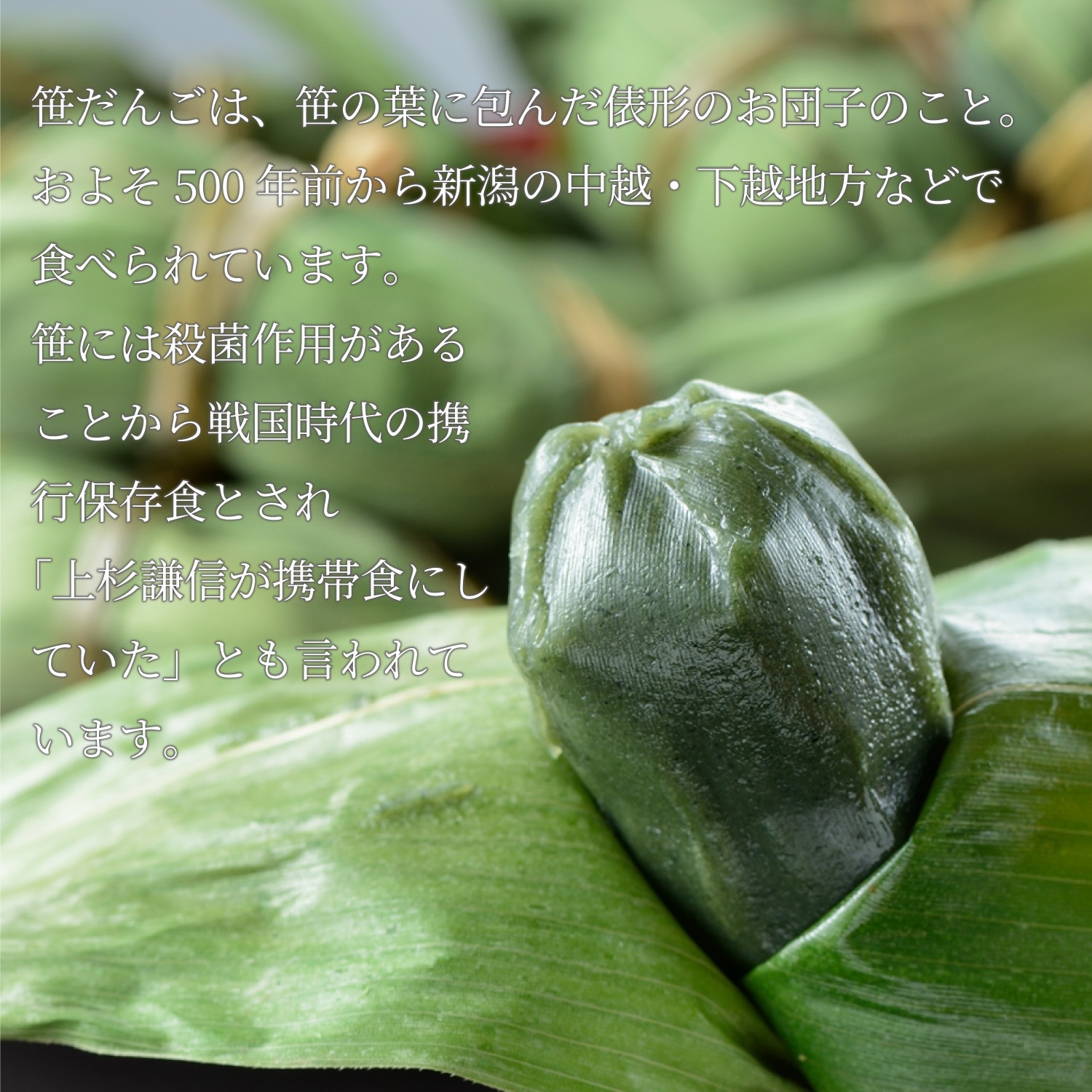 ۸ˤ̣襤åȡʺ󤴡ϼѡ