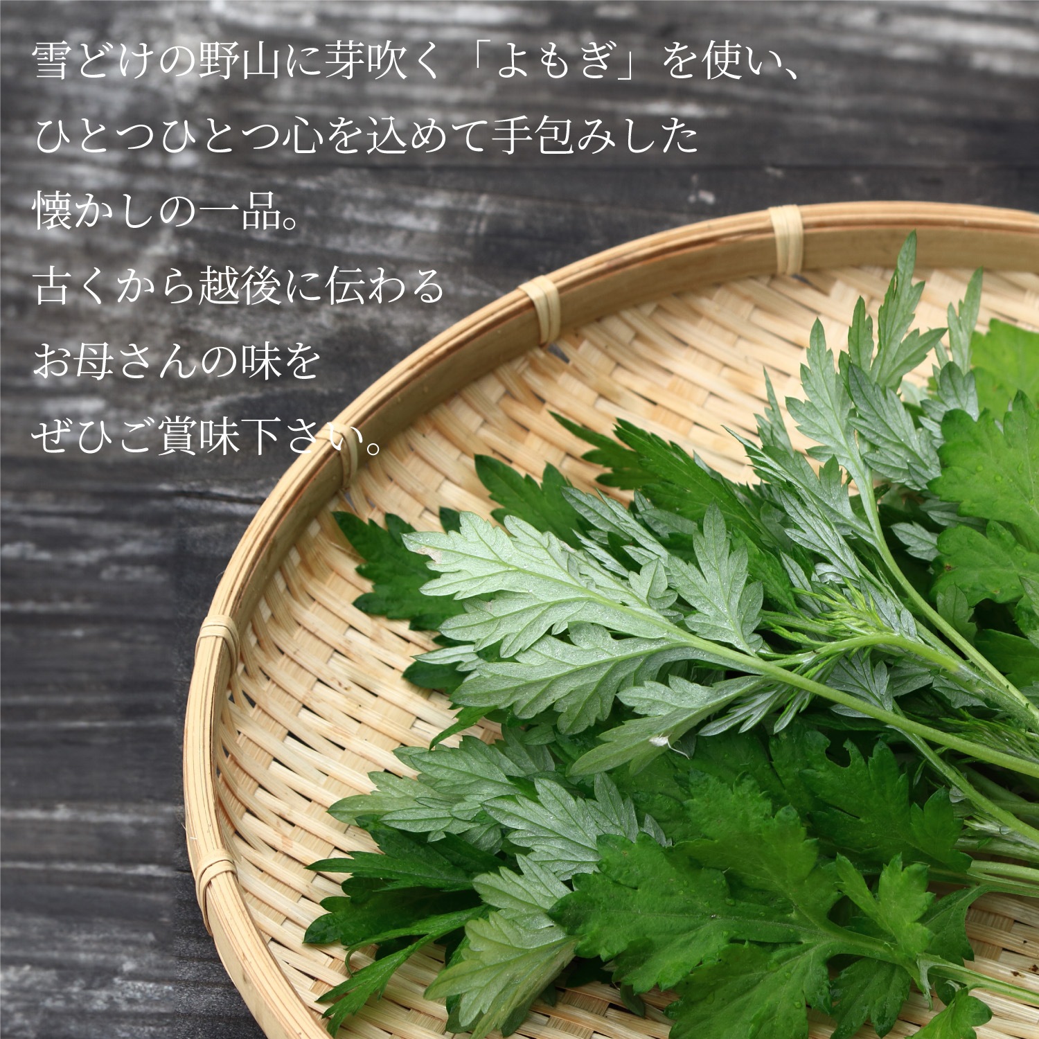 ۸ˤ̣襤åȡʺ󤴡ϼѡ