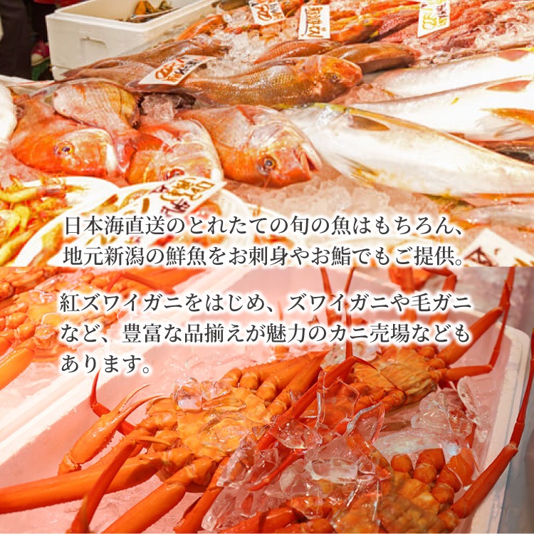 �̳�ƻ�� �ű������� ����1.8�԰̡��ڿȡ������ѥå�������Ȣ���� ���ե�/�Τ��б���