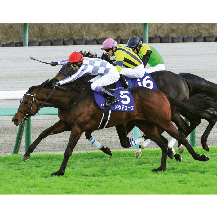 送料無料】2023年 有馬記念 全紙パネル【木製パネル（A2サイズ  