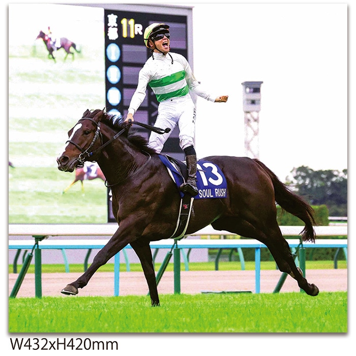 送料無料】2024年 マイルチャンピオンシップ 全紙パネル【木製パネル