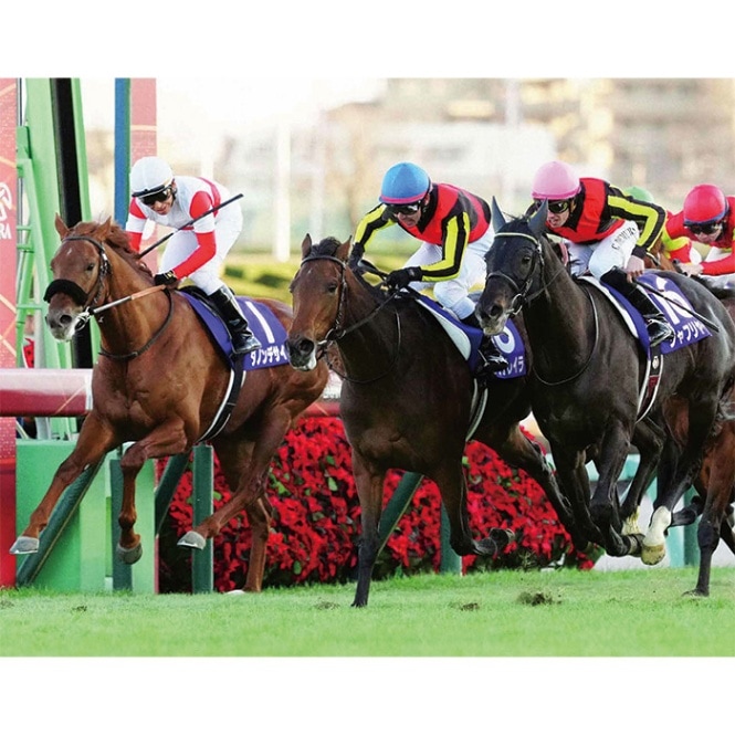 送料無料】2024年 有馬記念 木製額入り写真 【半切（A3サイズ）】【他