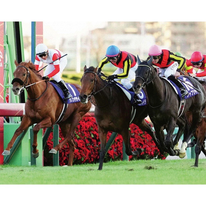 送料無料】2024年 有馬記念 全紙パネル【木製パネル（A2サイズ