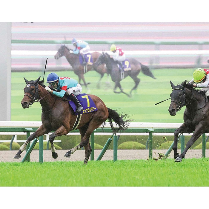 JRA　競馬　馬写真（額入り）　満花 JRA 競馬 馬写真（額入り） 満花 桜花賞2025特集 | netkeiba