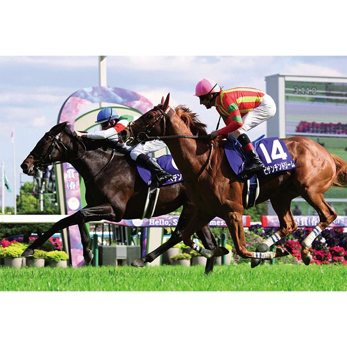 JRA 競馬 馬写真（額入り） 満花 JRA 競馬 馬写真（額入り） 満花 JRA