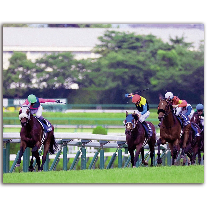 1977年有馬記念写真パネル 1977年有馬記念写真パネル