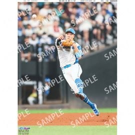 “日刊スポーツ ノンフィクション スペシャル” ７冊セット 日刊スポーツ ノンフィクション スペシャル” 7冊セット