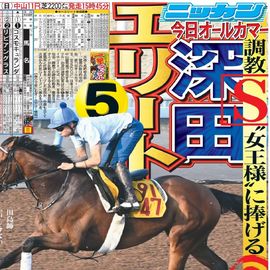 日刊スポーツ報道写真集 ニッカン50周年非売品 日刊スポーツショッピング |