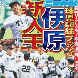 日刊スポーツ報道写真集 ニッカン50周年非売品 日刊スポーツショッピング | 商品一覧
