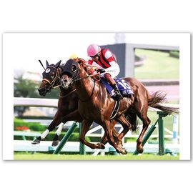 ¡ÚÁ÷ÎÁ̵ÎÁ¡Û2025ǯ ¥¹¥×¥ê¥ó¥¿¡¼¥ºS ÌÚÀ½³ÛÆþ¤ê¼Ì¿¿¡Ú»ÍÀڥ磻¥É¡ÊB4¥µ¥¤¥º¡Ë¡Û¡Ú¾¾¦ÉÊ¤È¤ÎÆ±ºÉԲġÛ