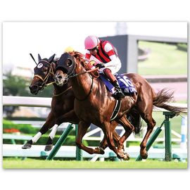 日刊スポーツショッピング |