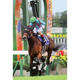 競馬写真 | 日刊スポーツショッピング
