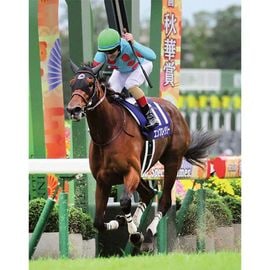 ¡ÚÁ÷ÎÁ̵ÎÁ¡Û2025ǯ ½©²Ú¾Þ ÌÚÀ½³ÛÆþ¤ê¼Ì¿¿ ¡ÚȾÀÚ¡ÊA3¥µ¥¤¥º¡Ë¡Û¡Ú¾¾¦ÉÊ¤È¤ÎÆ±ºÉԲġÛ