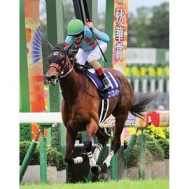 日刊スポーツ 五輪速報号 G0D53jQbsAABY3U.jpg