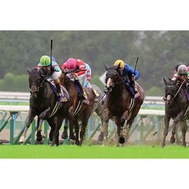 ¡ÚÁ÷ÎÁ̵ÎÁ¡Û2025ǯ µÆ²Ö¾Þ ÌÚÀ½³ÛÆþ¤ê¼Ì¿¿¡Ú»ÍÀڥ磻¥É¡ÊB4¥µ¥¤¥º¡Ë¡Û¡Ú¾¾¦ÉÊ¤È¤ÎÆ±ºÉԲġÛ