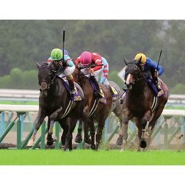 ¡ÚÁ÷ÎÁ̵ÎÁ¡Û2025ǯ µÆ²Ö¾Þ ÌÚÀ½³ÛÆþ¤ê¼Ì¿¿ ¡ÚȾÀÚ¡ÊA3¥µ¥¤¥º¡Ë¡Û¡Ú¾¾¦ÉÊ¤È¤ÎÆ±ºÉԲġÛ