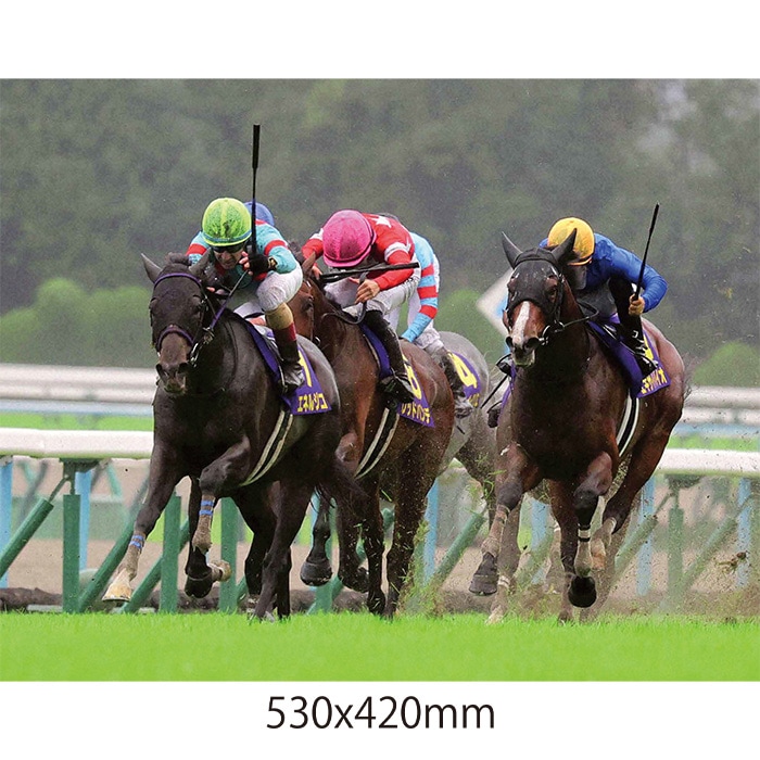 送料無料】2025年 菊花賞 全紙パネル【木製パネル（A2サイズ）】【他