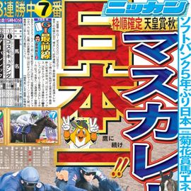 ÅÔÆâ¨ÇäÈÇ 2025ǯ10·î31ÆüÉÕ Æü´©¥¹¥Ý¡¼¥Ä¥Ð¥Ã¥¯¥Ê¥ó¥Ð¡¼