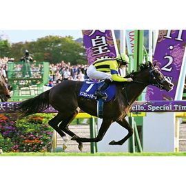 ¡ÚÁ÷ÎÁ̵ÎÁ¡Û2025ǯ Å·¹Ä¾Þ½© ÌÚÀ½³ÛÆþ¤ê¼Ì¿¿¡Ú»ÍÀڥ磻¥É¡ÊB4¥µ¥¤¥º¡Ë¡Û¡Ú¾¾¦ÉÊ¤È¤ÎÆ±ºÉԲġÛ