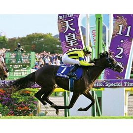 ¡ÚÁ÷ÎÁ̵ÎÁ¡Û2025ǯ Å·¹Ä¾Þ½© ÌÚÀ½³ÛÆþ¤ê¼Ì¿¿ ¡ÚȾÀÚ¡ÊA3¥µ¥¤¥º¡Ë¡Û¡Ú¾¾¦ÉÊ¤È¤ÎÆ±ºÉԲġÛ