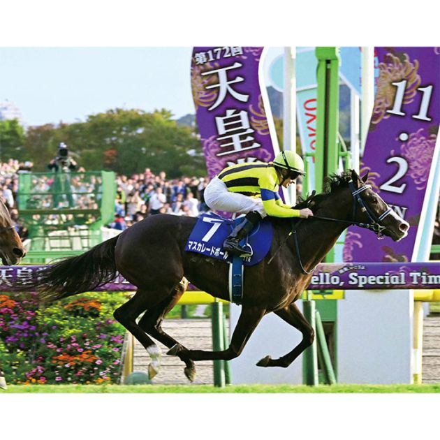 送料無料】2025年 天皇賞秋 木製額入り写真 【半切（A3サイズ）】【他