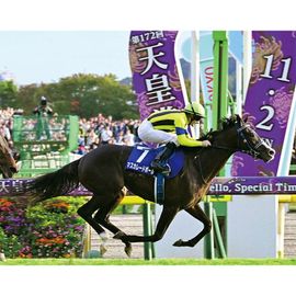 ¡ÚÁ÷ÎÁ̵ÎÁ¡Û2025ǯ Å·¹Ä¾Þ½© Á´»æ¥Ñ¥Í¥ë¡ÚÌÚÀ½¥Ñ¥Í¥ë¡ÊA2¥µ¥¤¥º¡Ë¡Û¡Ú¾¾¦ÉÊ¤È¤ÎÆ±ºÉԲġÛ