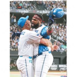 Ë̳¤Æ»ÈÇ 2025ǯ11·î4ÆüÉÕ Æü´©¥¹¥Ý¡¼¥Ä¥Ð¥Ã¥¯¥Ê¥ó¥Ð¡¼